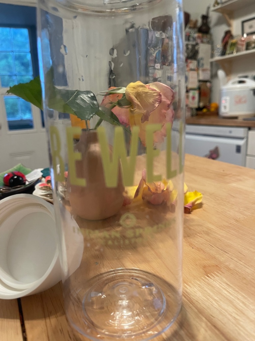 NWOT Indian Springs Water Bottle - Picture 2 of 3